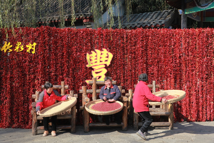 2021年11月13日，临沂市沂南县铜井镇竹泉村村民在展示晾晒粮食。（图源：新华社）