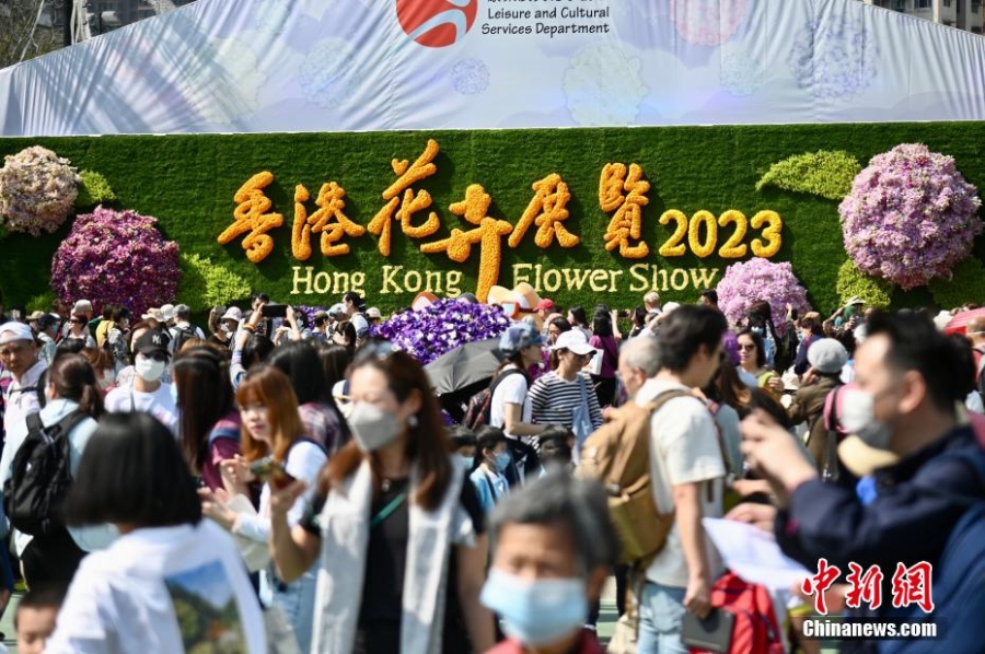 香港花卉展览开幕 吸引大批市民赏花