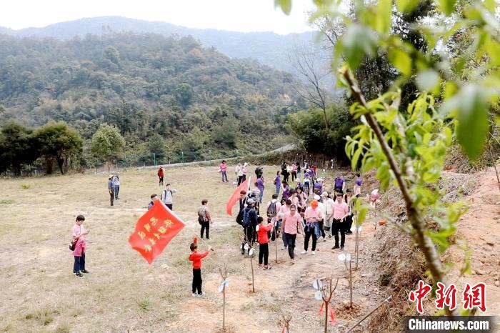 两岸同胞春日踏青百人共植“同心林”