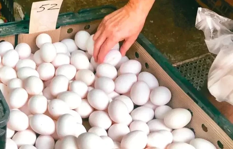 台湾缺蛋问题持续，上周传出台农业部门提出拟由台农业部门提供台军产销履历豆浆“取代”鸡蛋。（图源：台湾《联合报》）