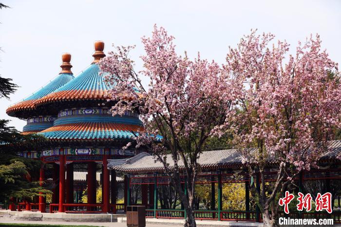 北京天坛公园换上靓丽“春装”邀市民共同守护文化遗产