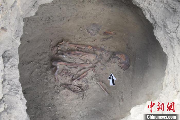 青藏高原西部阿里地区皮央吉翁遗址一处墓室中出土的人类个体遗骸。　中科院古脊椎所 供图