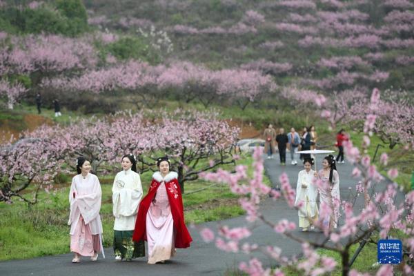 春日花开