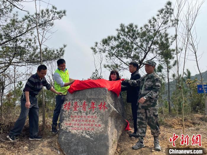 弘扬张圣君文化两岸青年共植樟台青年林