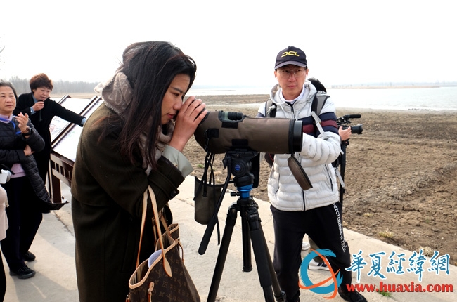兩岸媒體人參訪天津七里海濕地