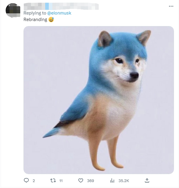 459490_800x20000.jpeg