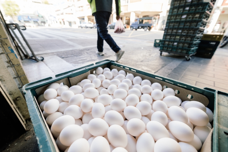 賴士葆表示，這一個月來，蛋價漲了差不多40%。（示意圖 郭吉銓攝）