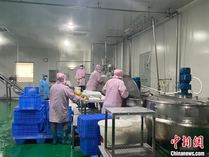 鮮友的生産車間內，員工正在製作果汁産品。　路梅 攝