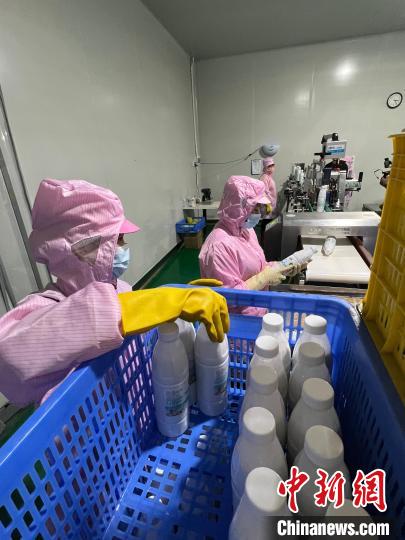 鮮友的生産車間內，員工收集灌裝好的果汁，準備送進冷凍庫。　路梅 攝