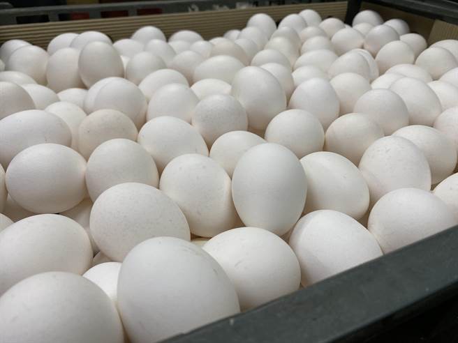 岛内蛋农说，鸡蛋的分级标准难以订定，鸡蛋分级计价制度后来也无疾而终。（图源：台湾“中时新闻网”）