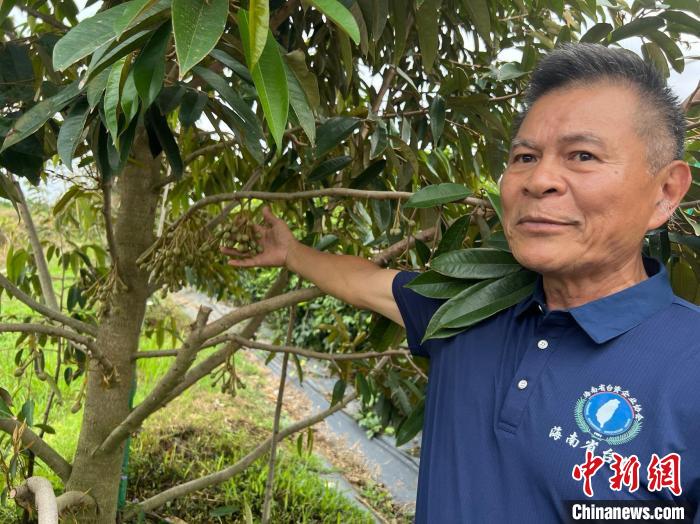 台湾果农深耕海南迎自贸港机遇