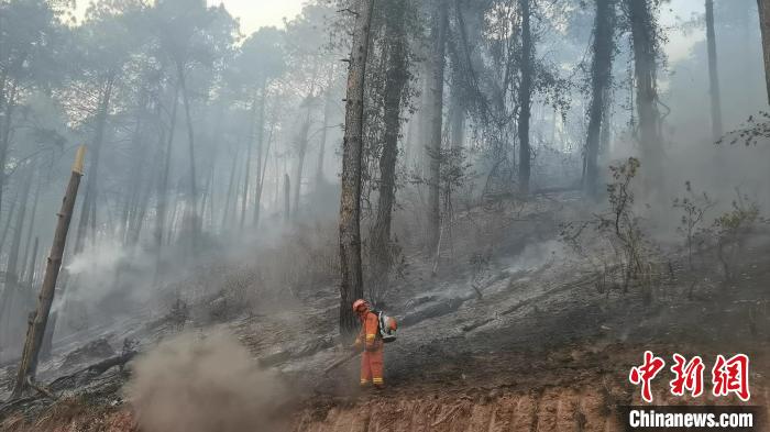 四川西昌森林火灾投入消防救援力量500余人火势得到明显控制
