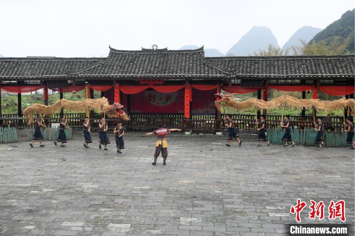 舞草龙是罗城仫佬族民众的一种民间传统体育活动。　廖光福 摄