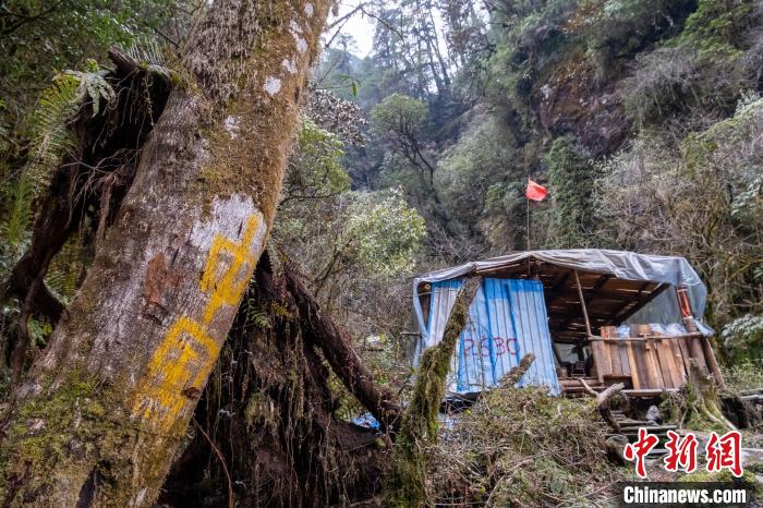 原始森林里荒野求生西藏山南拉郊边境派出所移民管理警察戍边记