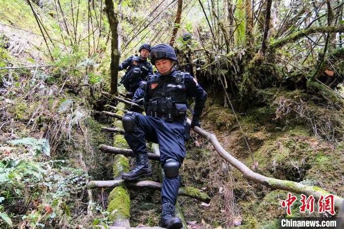 4月9日，拉郊边境派出所移民管理警察在边境地区原始森林进行戍边巡逻。　江飞波 摄