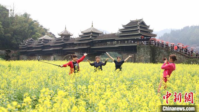 图为游客在三江侗族自治县程阳八寨赏花拍照。　龙佳倩 摄
