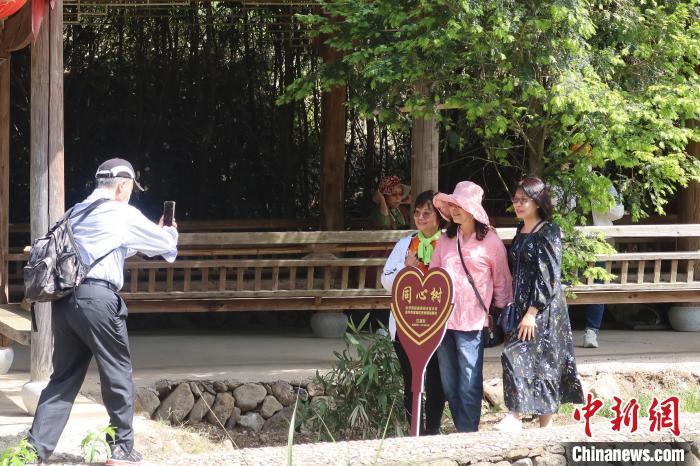 几位台胞在两岸同心树下合影，共植之树今已亭亭如盖。　董易鑫 摄