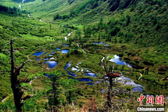 图为高黎贡山之巅的彩色湿地。　艾怀森 摄