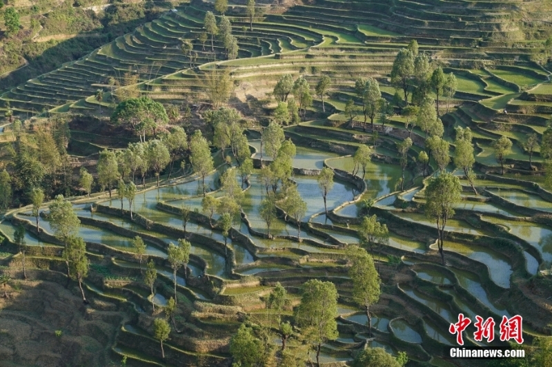 云南红河县梯田美景如画