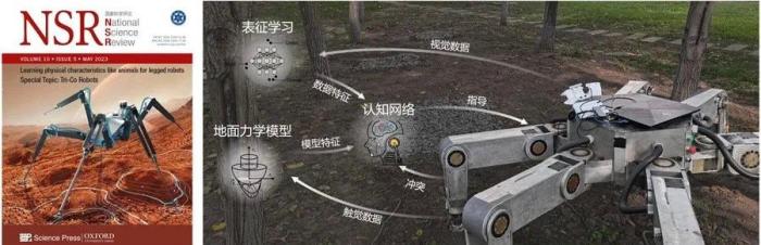 中国科研团队让机器人通过“看一看”“摸一摸”识别地形