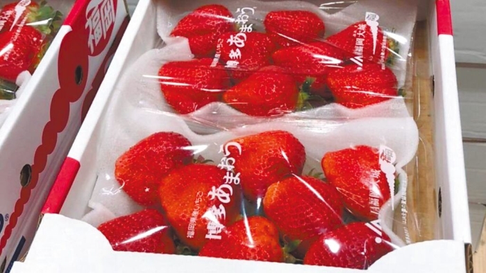 食藥署正評估開放「氟尼胺」和「克凡派」兩款農藥可用於草莓，讓農藥超標的日本草莓就地合法，遭國內草莓農抗議。圖為台北內湖好市多「空運日本草莓」被驗出農藥氟尼胺超標。（北市衛生局提供）