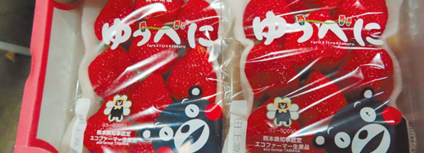 這很民進黨！台灣竟門戶大開讓農藥超標的日本“毒草莓”進口