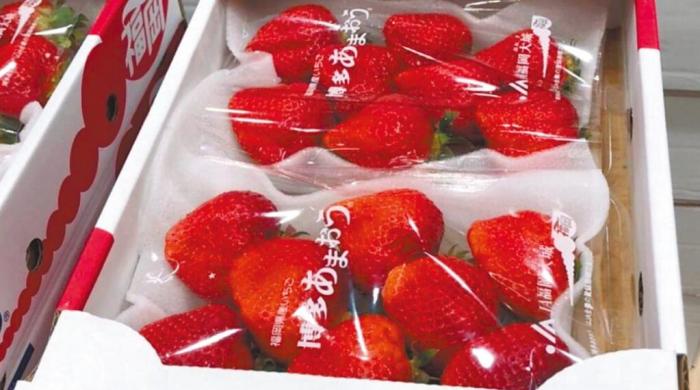 图为空运日本草莓被验出农药氟尼胺超标。图片来源：台湾《中国时报》。