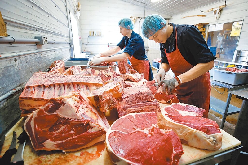 台湾地区下半年将开放加拿大全牛龄牛肉进口，台当局“食药署”赴加拿大实地查厂却只看了一家饲育场，遭国民党民代批评。图为加拿大牛肉屠宰情况。（路透） 图片来源：台湾“中时新闻网”