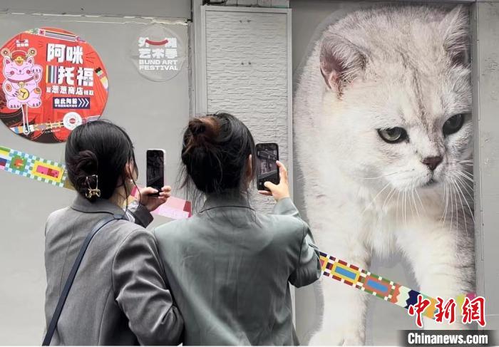 情话大全浪漫情话卡通_上海街情话_幽默情话大全浪漫情话