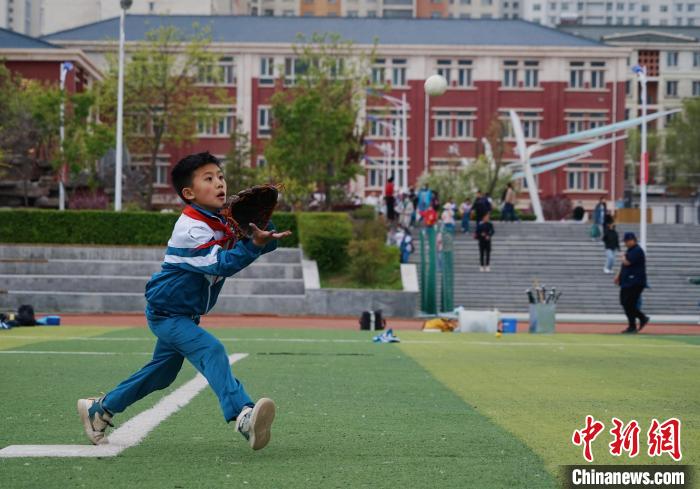 图为小棒球手进行接球训练。　马铭言 摄