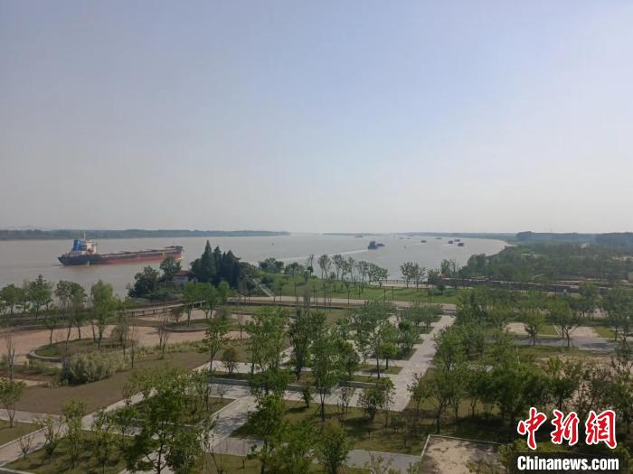 （聚焦中国高品质睁开）南京浦口“十里造船带”生态变身：树木林立 江豚时跃