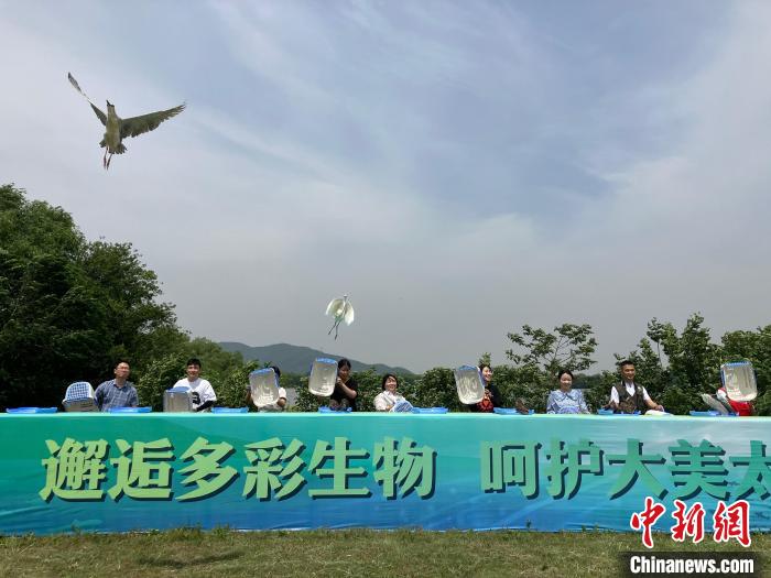 邂逅多彩生物环太湖“昆蒙框架”实施联盟在浙江湖州成立