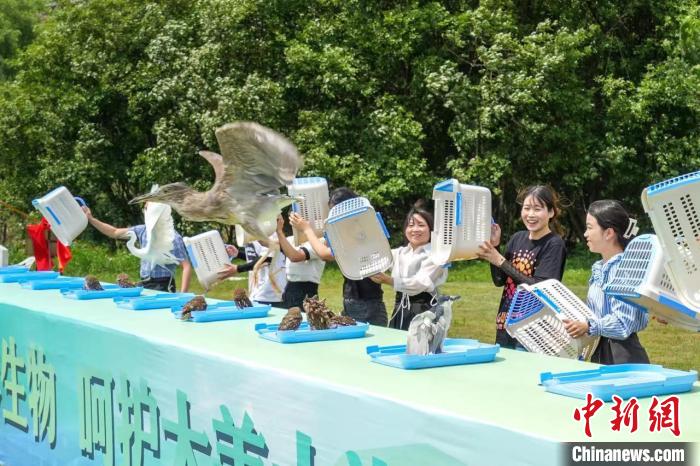 珍稀野生鸟类放生现场 吴拯 摄