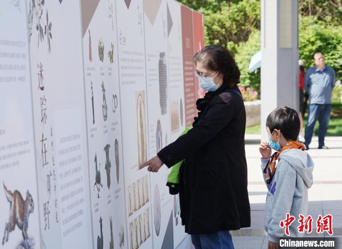 图为市民参观“大展宏兔——癸卯(兔年)生肖文物图片联展”。　马铭言 摄