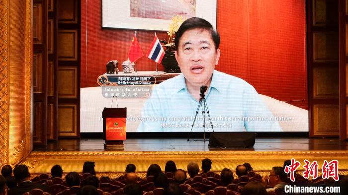 泰国驻华大使阿塔育·习萨目视频发言 主办方供图