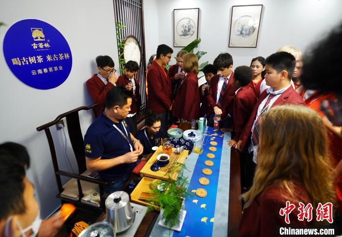 首届“北京朝阳国际茶香文化节”启动。　富田 摄