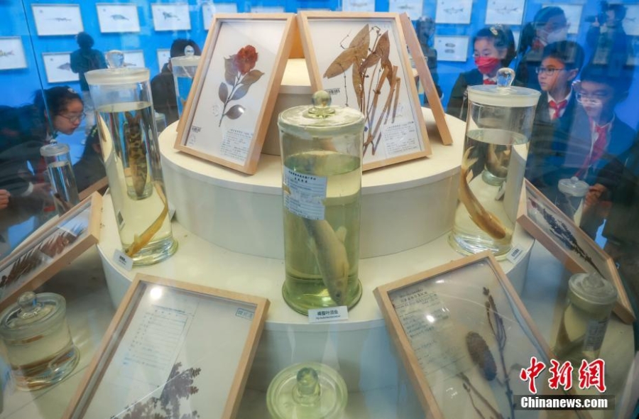 长江主题科普巡展亮相南京展“多姿多彩的长江生命”