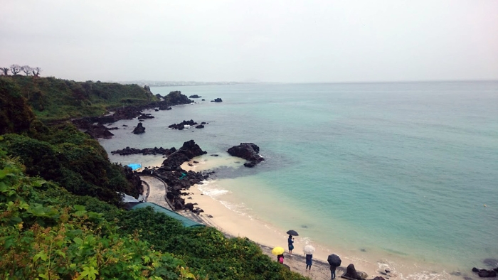 台湾旅行团于韩国济州岛发生车祸