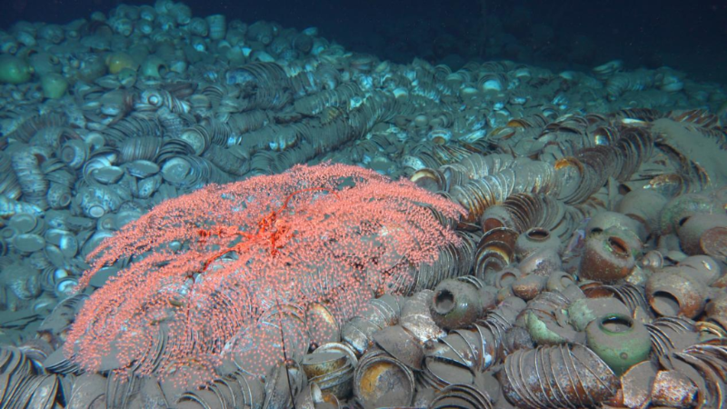 南海西北陆坡沉船遗迹第一阶段审核：最新海底画面来了！