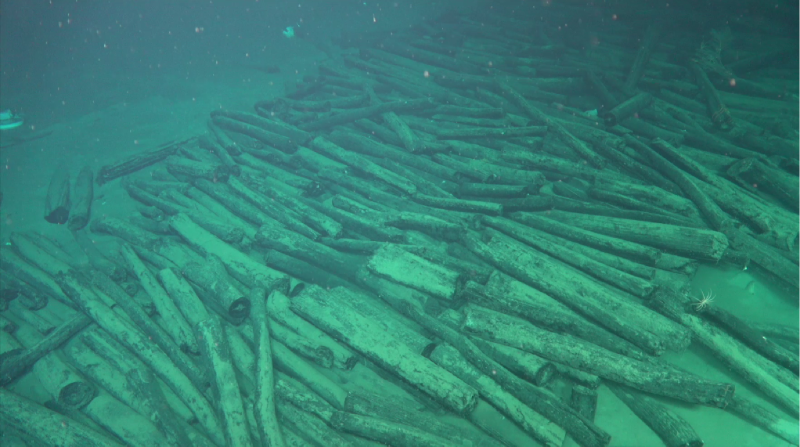 南海西北陆坡二号沉船上发现的原木。（图源：新华网）