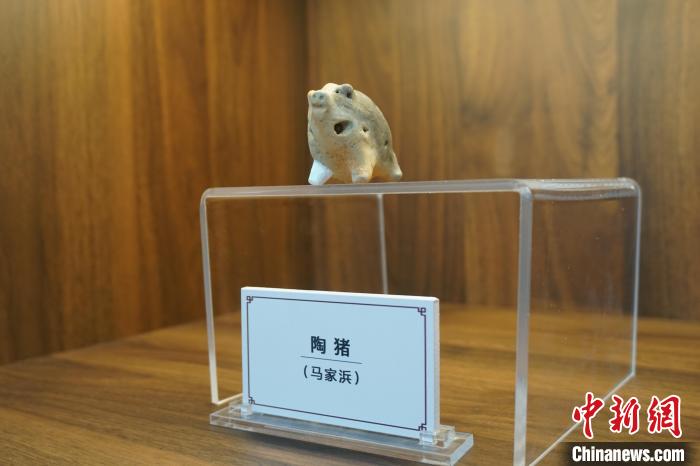 馬鞍遺址出土的陶豬。　孫權 攝