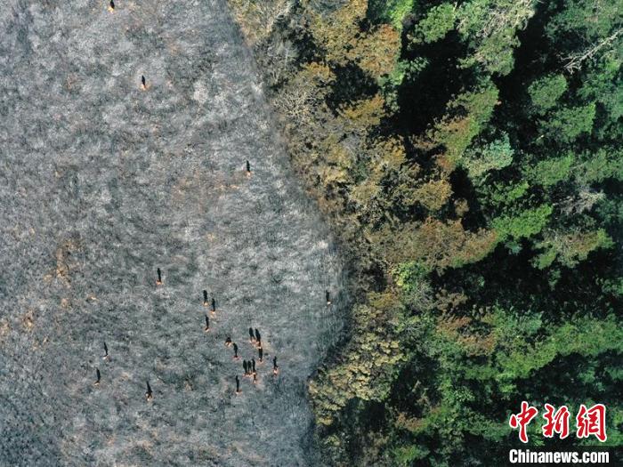 森林消防员在木里县三桷垭乡鸡毛店村森林火场。　程雪力 摄
