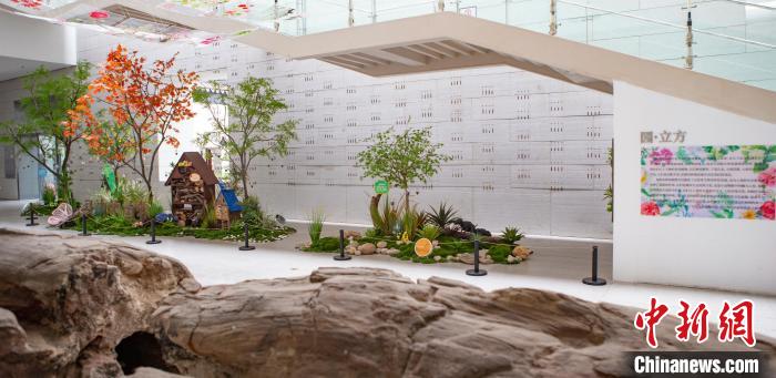 “园立方·植物星球”自然科普展教主题空间。　中国园林博物馆供图