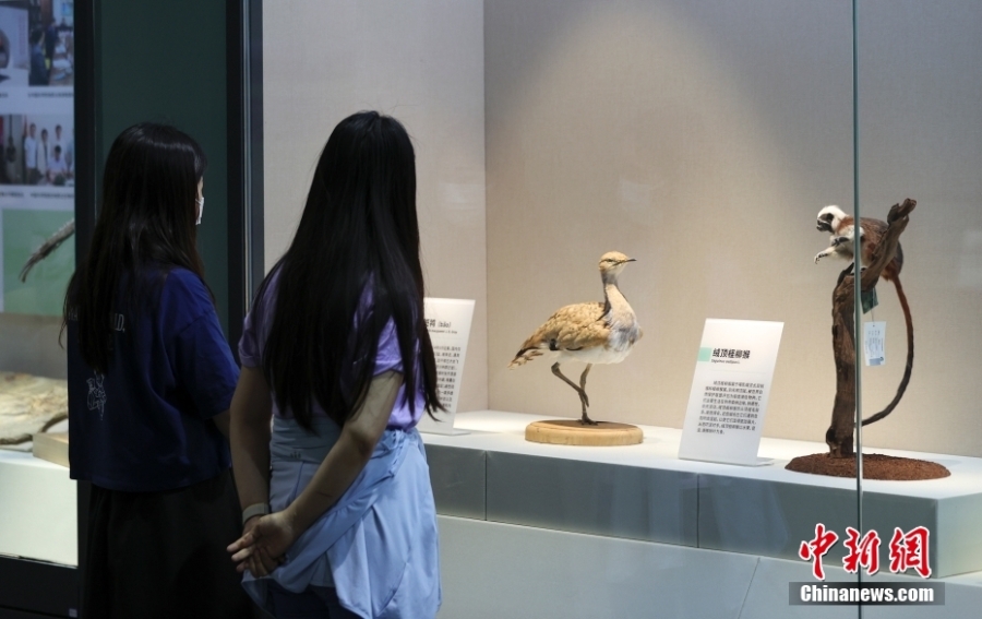 “国家自然博物馆馆藏精品展”面向公众开放参观