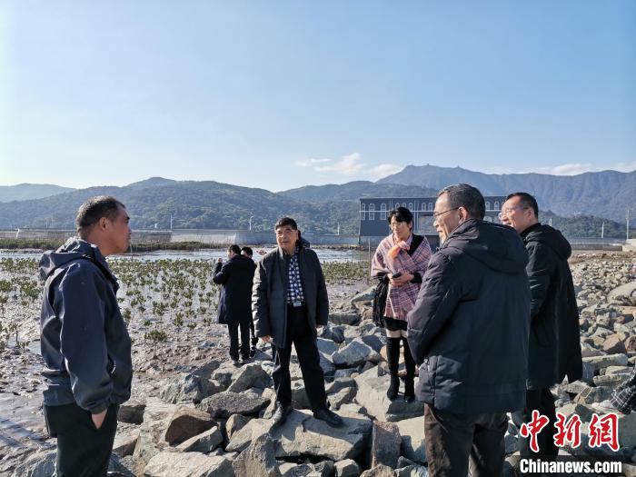 浙江海洋生态观察：智慧大脑如何解锁蓝色发展密码？