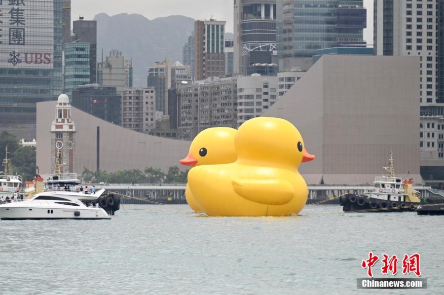 “小黄鸭”10年后重游香港维多利亚港