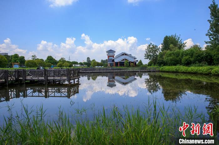 “国际湿地城市”武汉构建全过程湿地保护体系