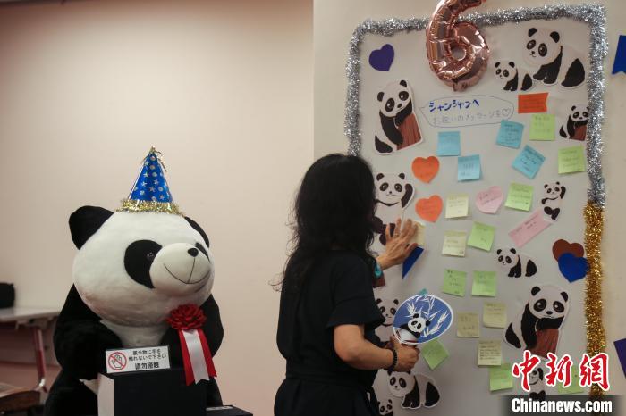 由中国驻东京旅游办事处和东京中国文化中心共同主办的大熊猫“香香”生日会在日本东京举办 蒋文月 摄