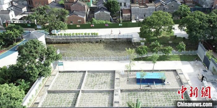 广东污水整治初见成效中水回用助力绿色发展
