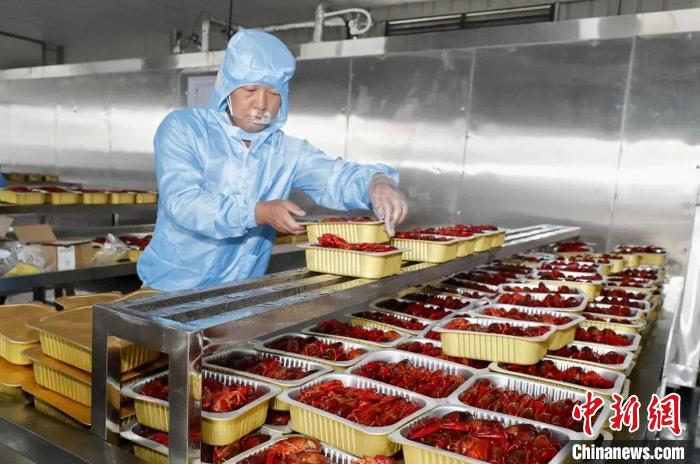 江西南昌建成首条小龙虾预制菜生产线撬动“舌尖经济”助农增收